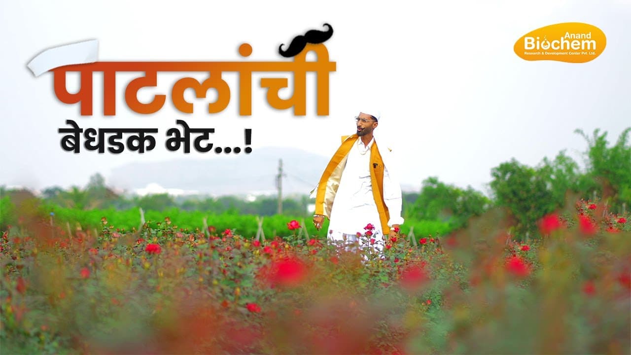 पाटलांची झाली अचानक भेट - Patlanchi Zhali Achanak Bhet
(Anand Biochem) by Bablu Patil